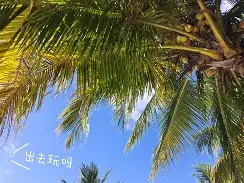 拉科努盖尔告捷，突然冒出来的惊喜