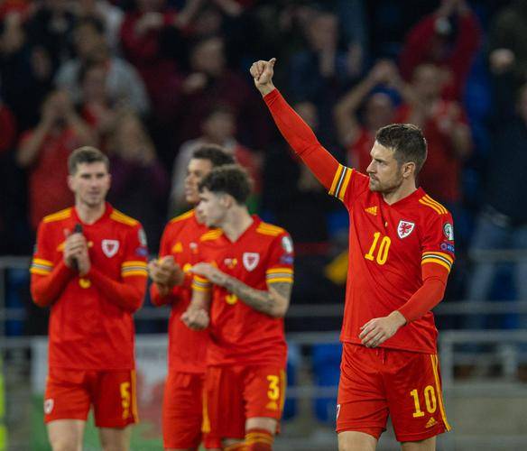 威尔士队主场大胜保加利亚,壮志已酬 威尔士队主场大胜保加利亚,壮志已酬