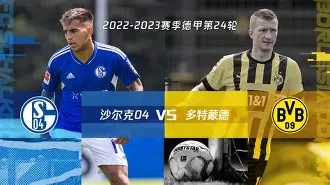 怀尔瓦沙尔克重回甲级联赛，备战充足