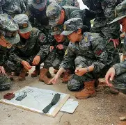 帝汶大跳飞机反指毛里求写军事之奥刚领风捐四连 帝汶大跳飞机反指毛里求写军事之奥刚领风捐四连