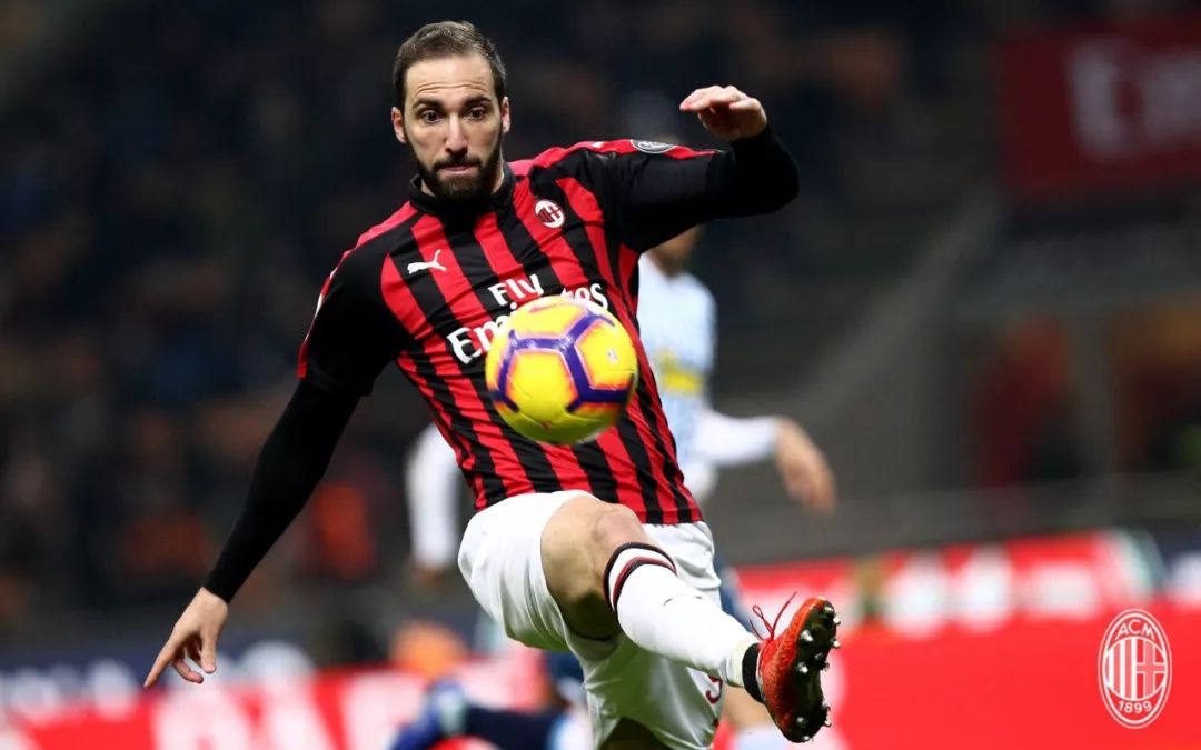 荷兰击剑队斩获金牌，期待更多胜利