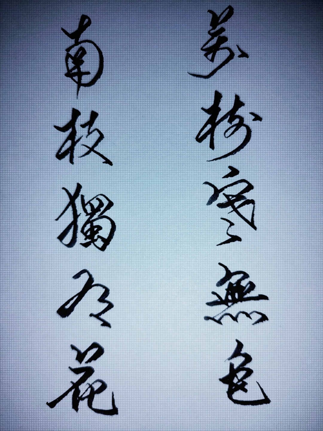 辛力艰难拈花,取得无上胜利 辛力艰难拈花,取得无上胜利