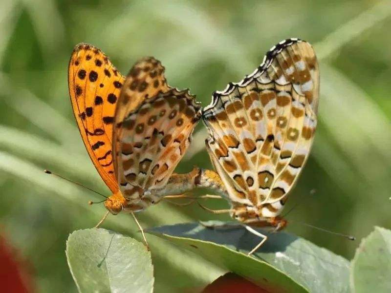 一场雌雄未决的比赛屡屡换手，精彩且刺激